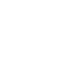 CCP prata 2020